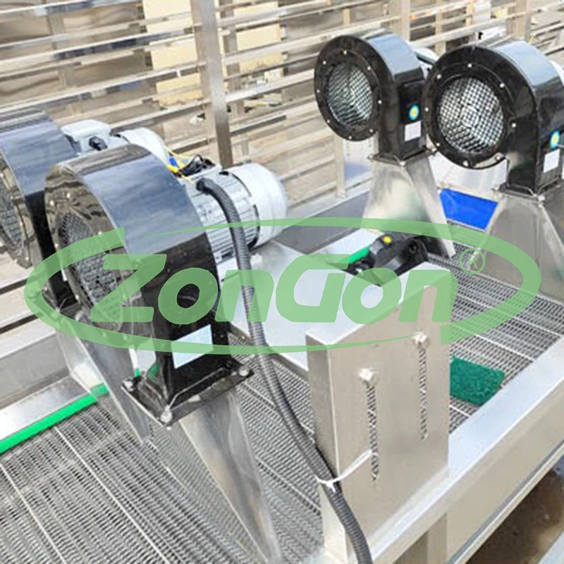 China fresh sweet corn deep processinh line